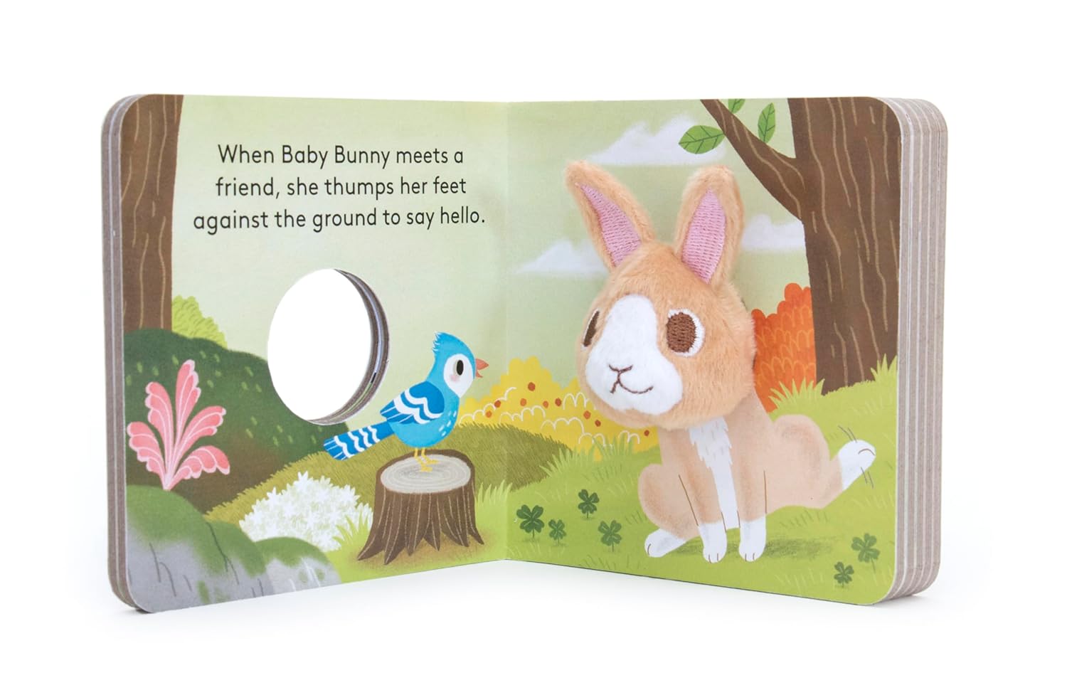 Baby Bunny Finger Puppet Book