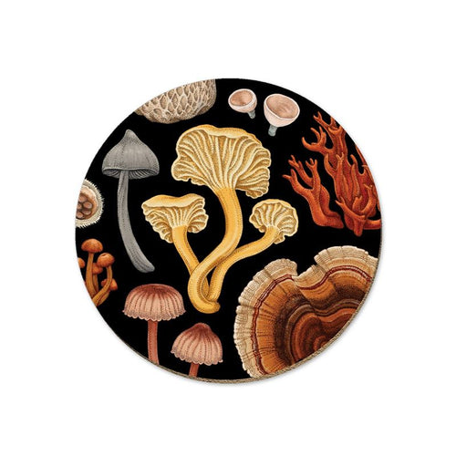 NZ Fungi Bolete Coaster