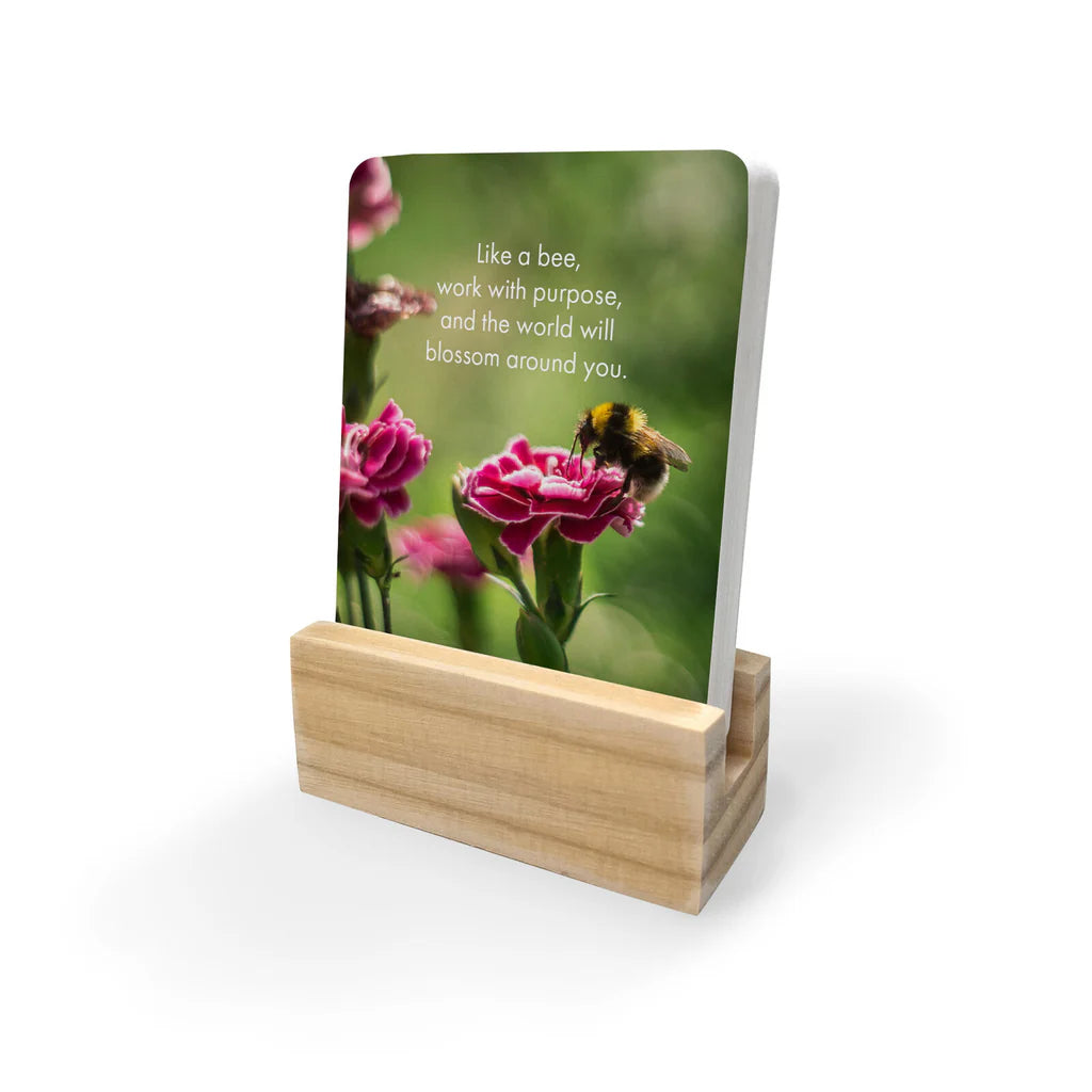 Bee You Little Affirmation Box