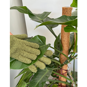 Plant Dust Gloves Green