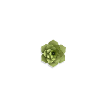 Load image into Gallery viewer, Lovi Flower Pale Green 15cm