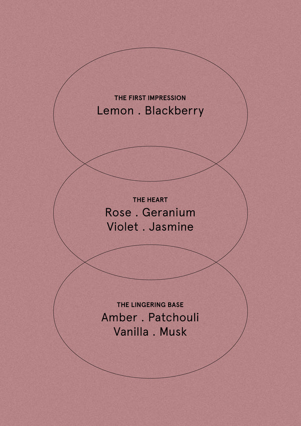 Smith & Co Blush Rose & Blackberry Diffuser 200ml