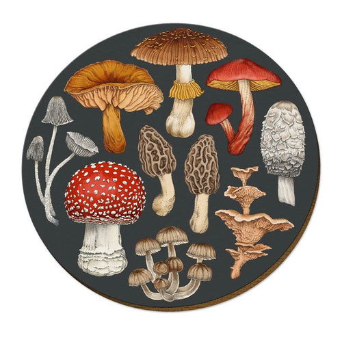 NZ Fungi Morchella Placemat