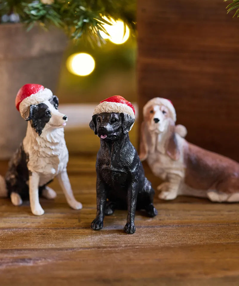 Black Dog with Santa Hat