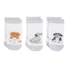 Load image into Gallery viewer, Wrendale Little Paws Socks