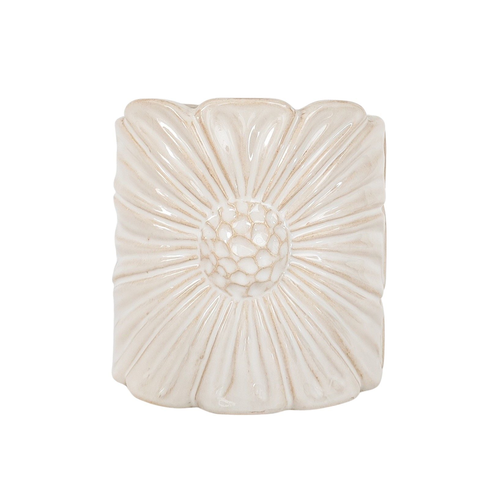 Daisy Planter Assorted Sizes