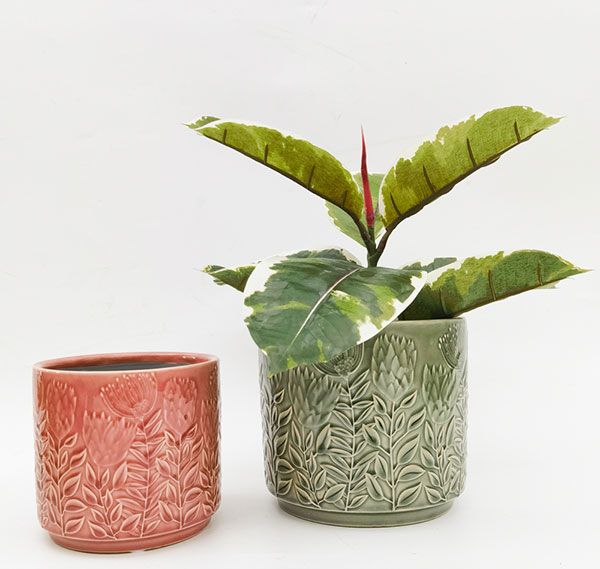 Protea Planter Sage 17cm