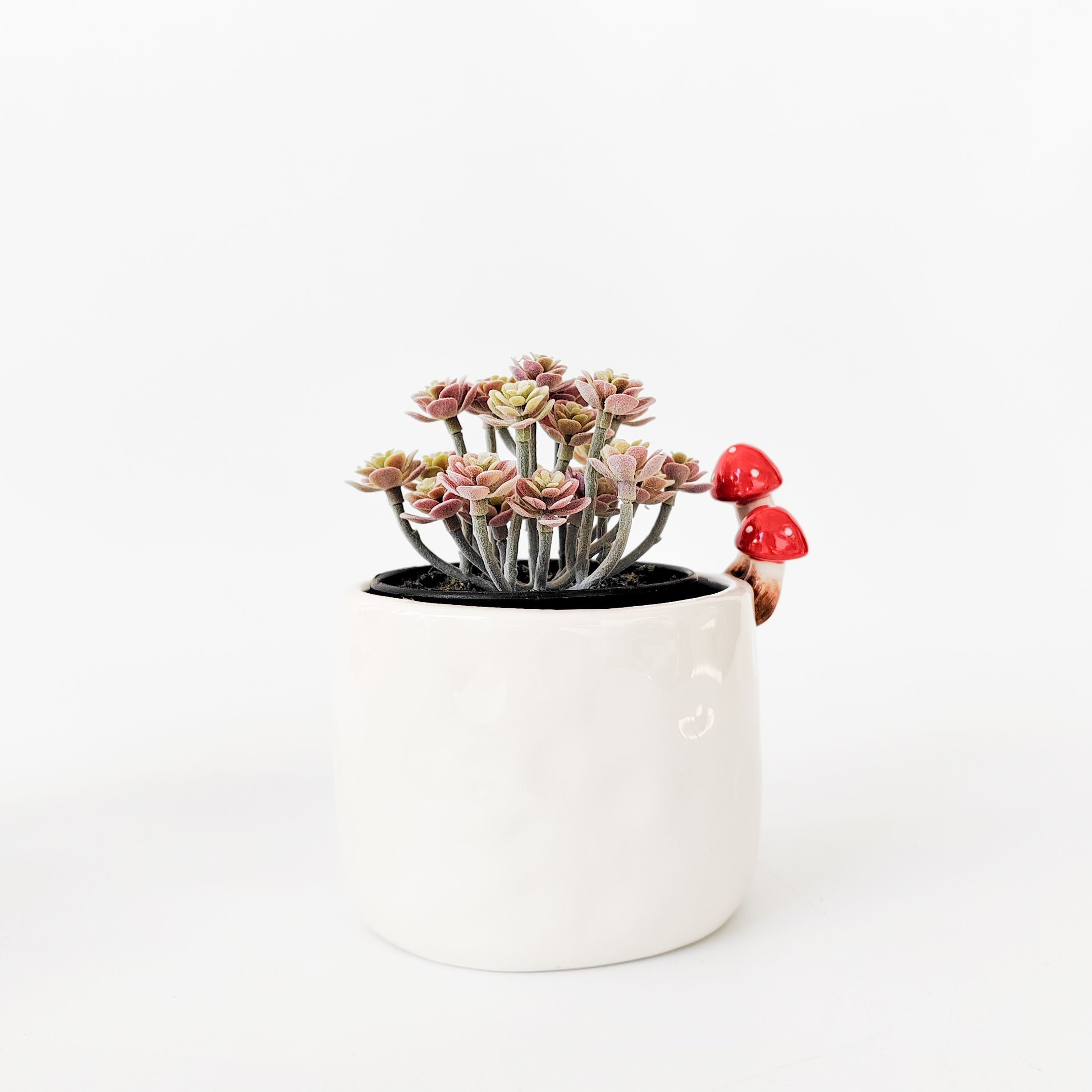 Toadstool Planter White 13cm