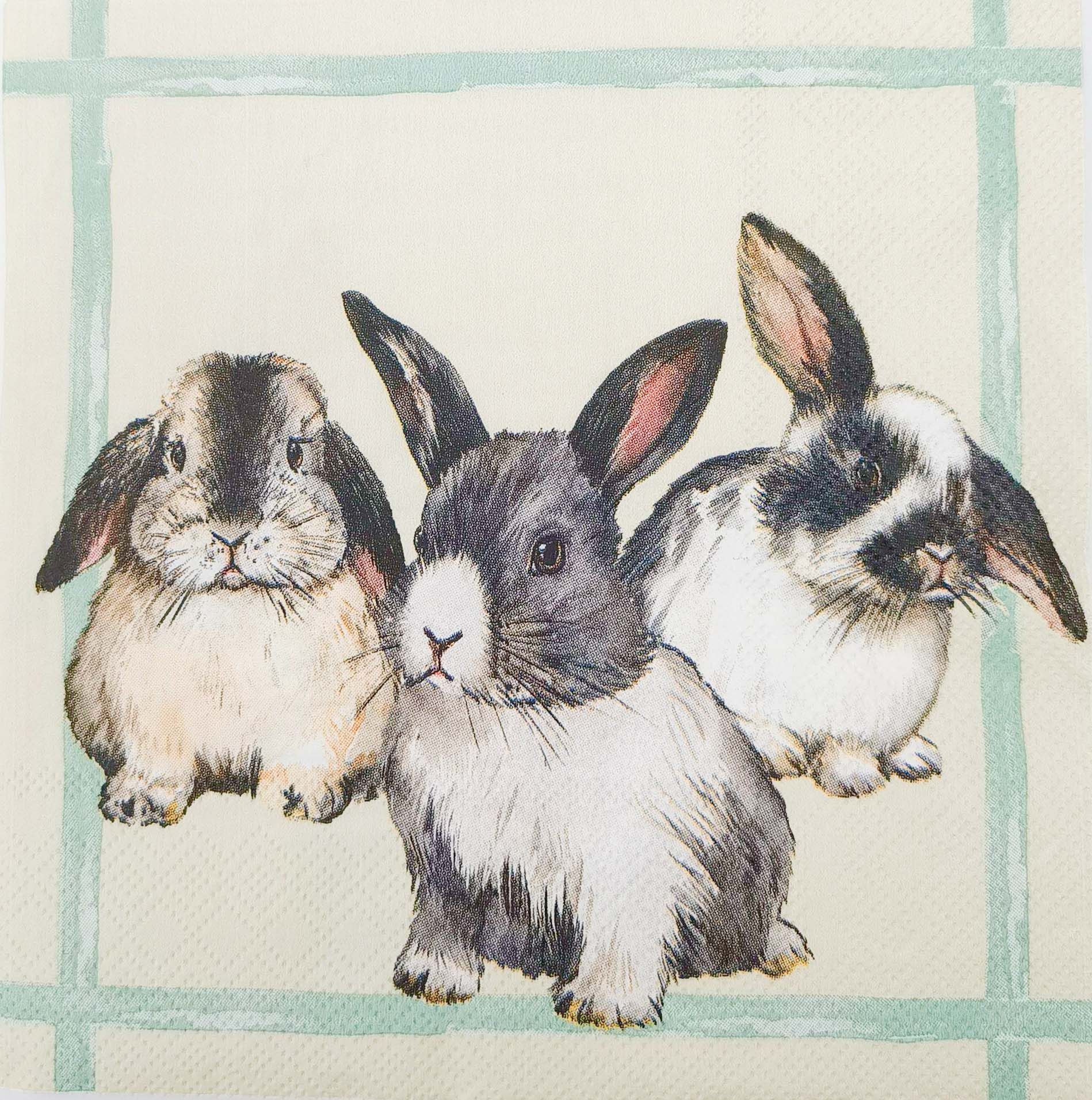 Brown Bunny Napkins