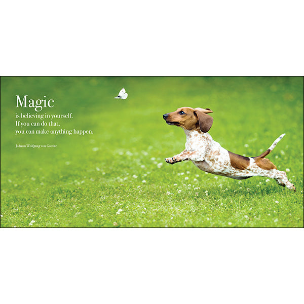 Flying Dogs: A book of motivation