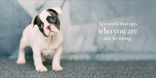 You're One Of A Kind