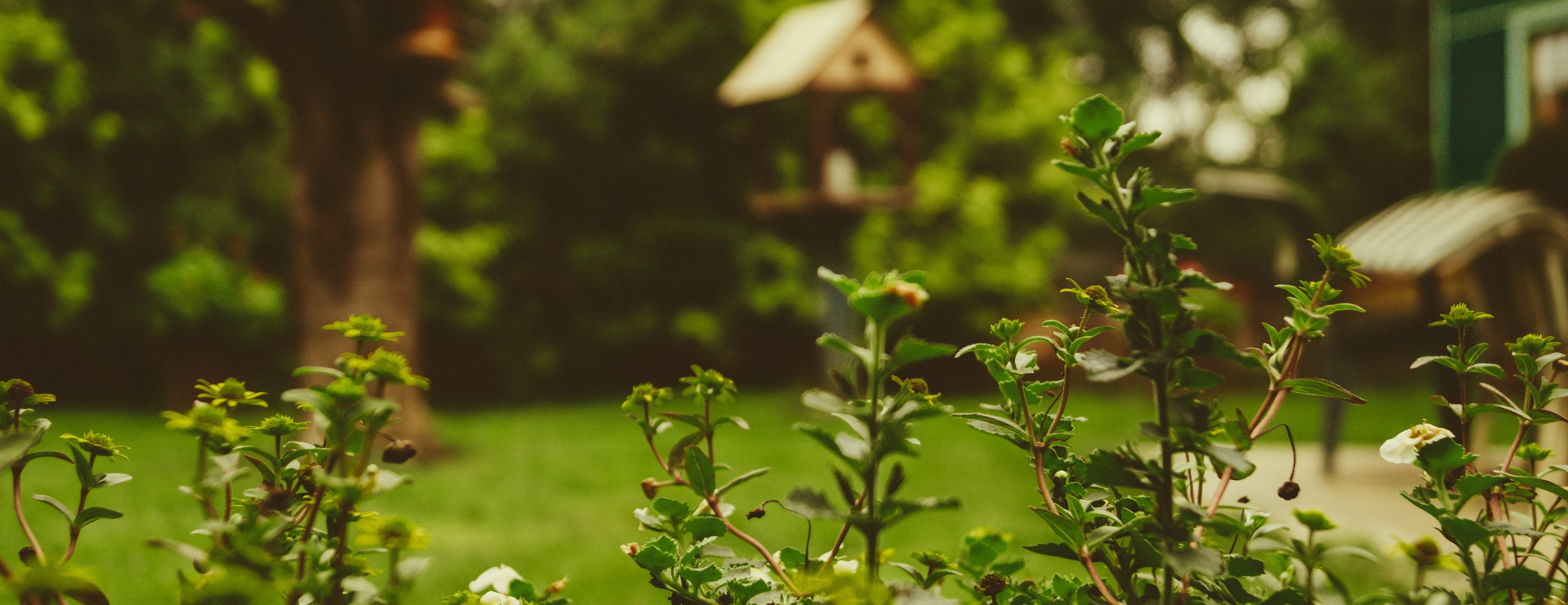 Pots, Planters & Garden