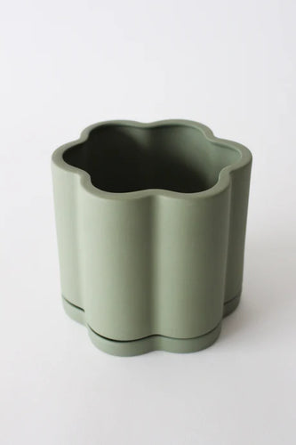 Daisy Planter Sage
