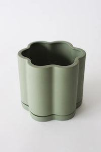 Daisy Planter Sage