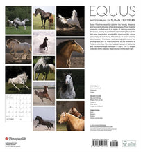 Load image into Gallery viewer, Equus 2024 Wall Calender