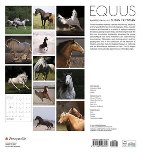 Equus 2024 Wall Calender