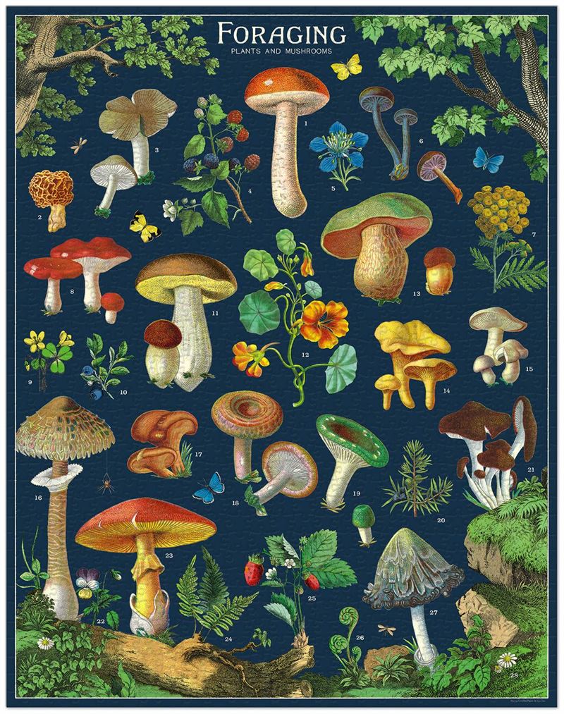 Foraging 1000pce Vintage Puzzle
