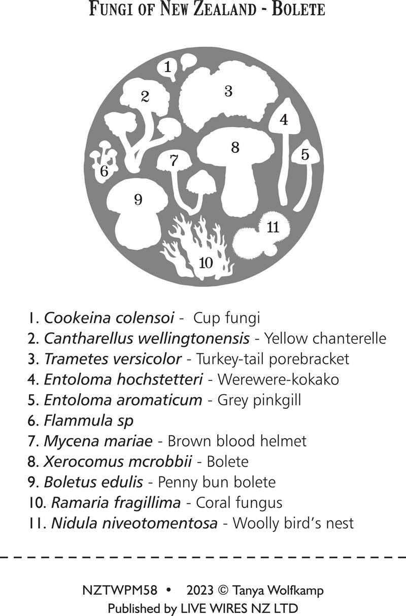 Nz Fungi Bolete Placemat