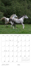Load image into Gallery viewer, Equus 2024 Wall Calender