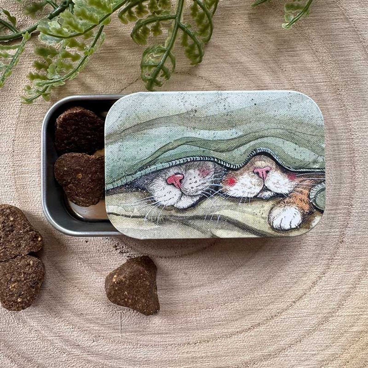 Cats Whiskers Sliding Little Tin
