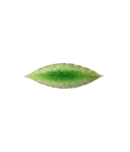 Riviera Leaf 18cm