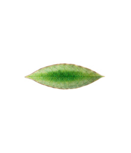 Riviera Leaf 18cm