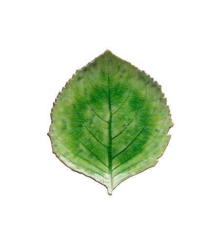 Riviera Leaf 22cm