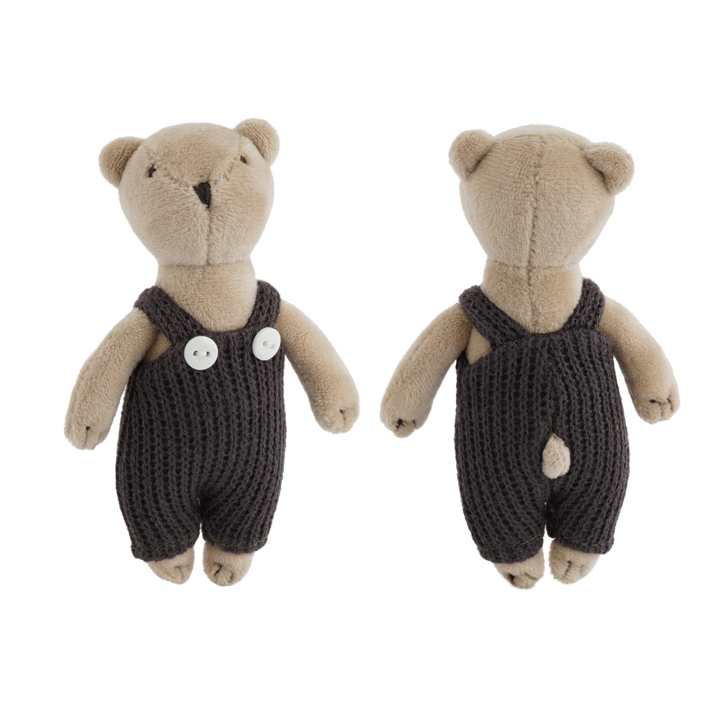 Wild Wanderers Bear