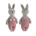 Wild Wanderers Bunny