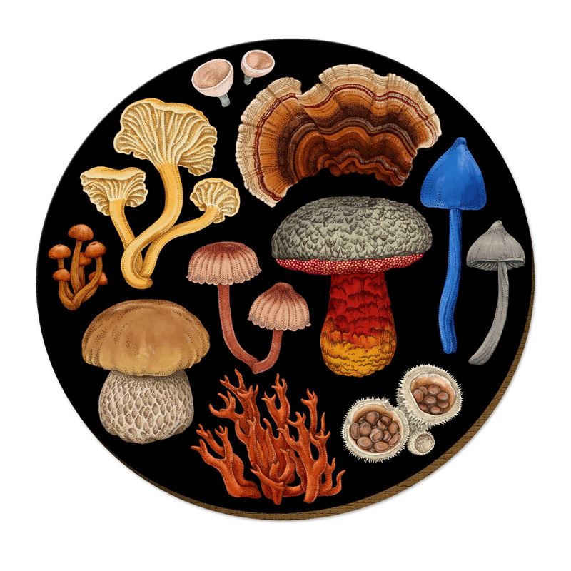 Nz Fungi Bolete Placemat