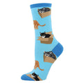 Cat in a Box Azure Socks