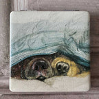 Snouts Compact Mirror