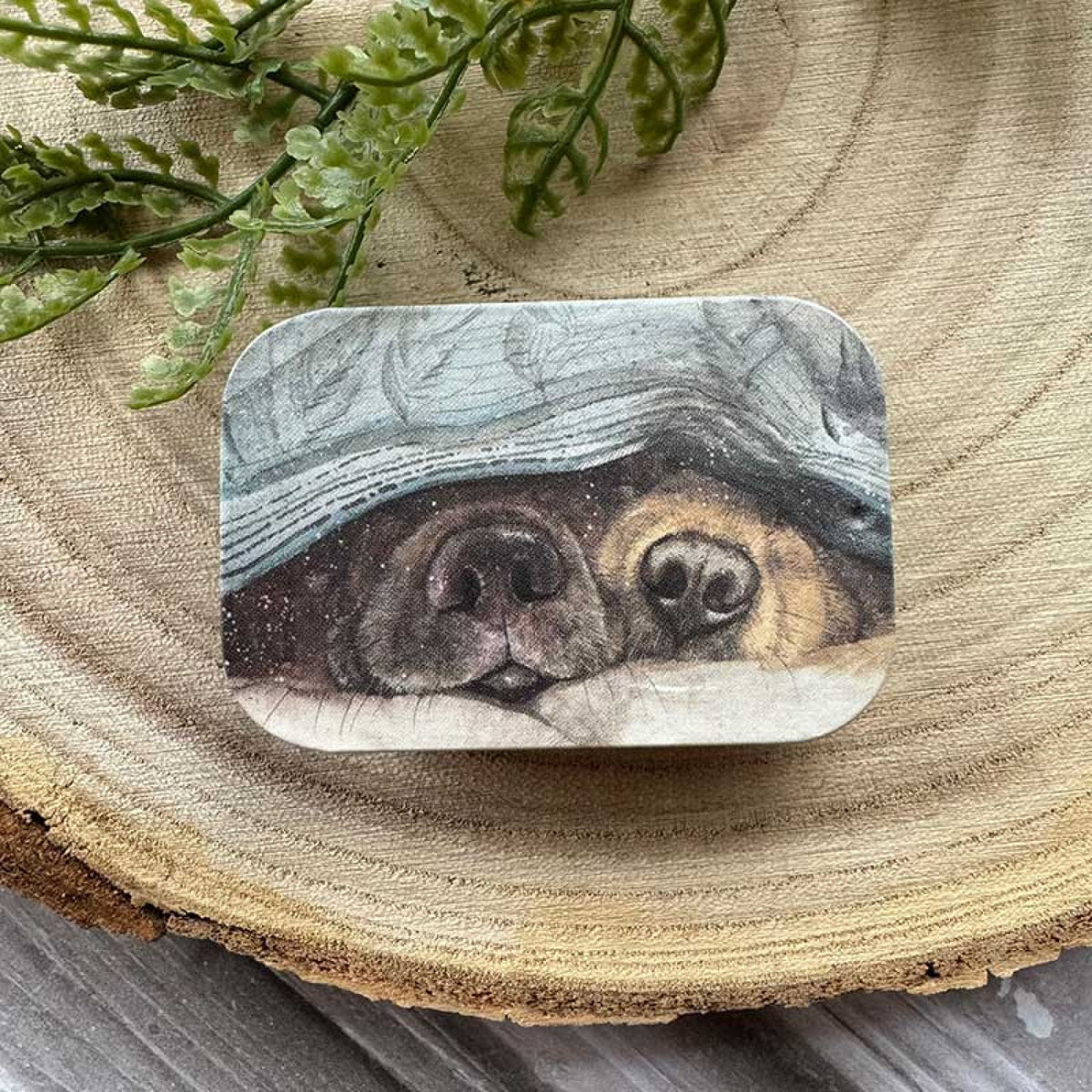 Snouts Sliding Little Tin