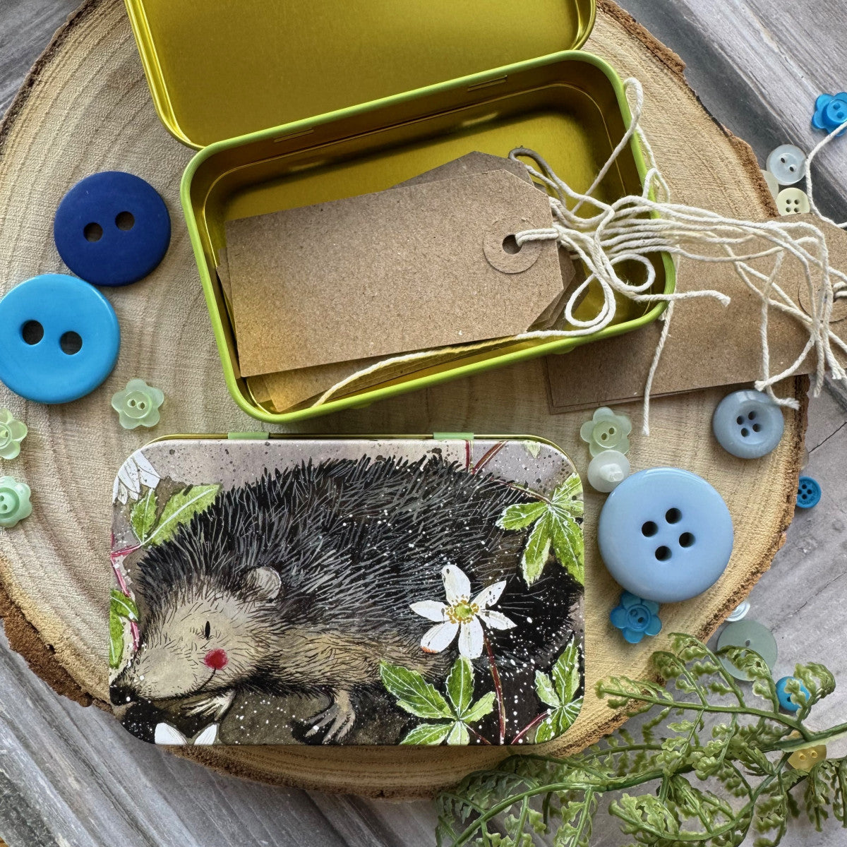 Mr Prickly Small Rectangle Tin