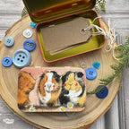 The Three Guineas Small Rectangle Tin