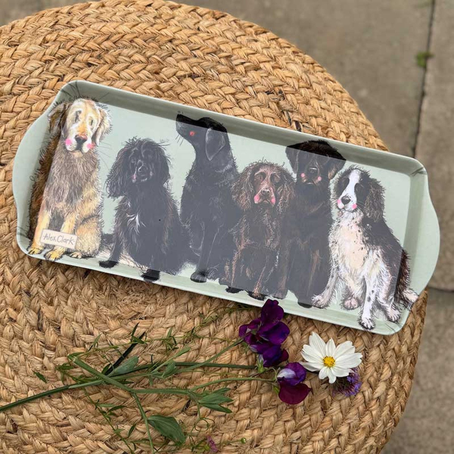 Medium Dogs Tray