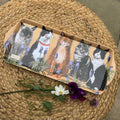 Medium Cats Tray