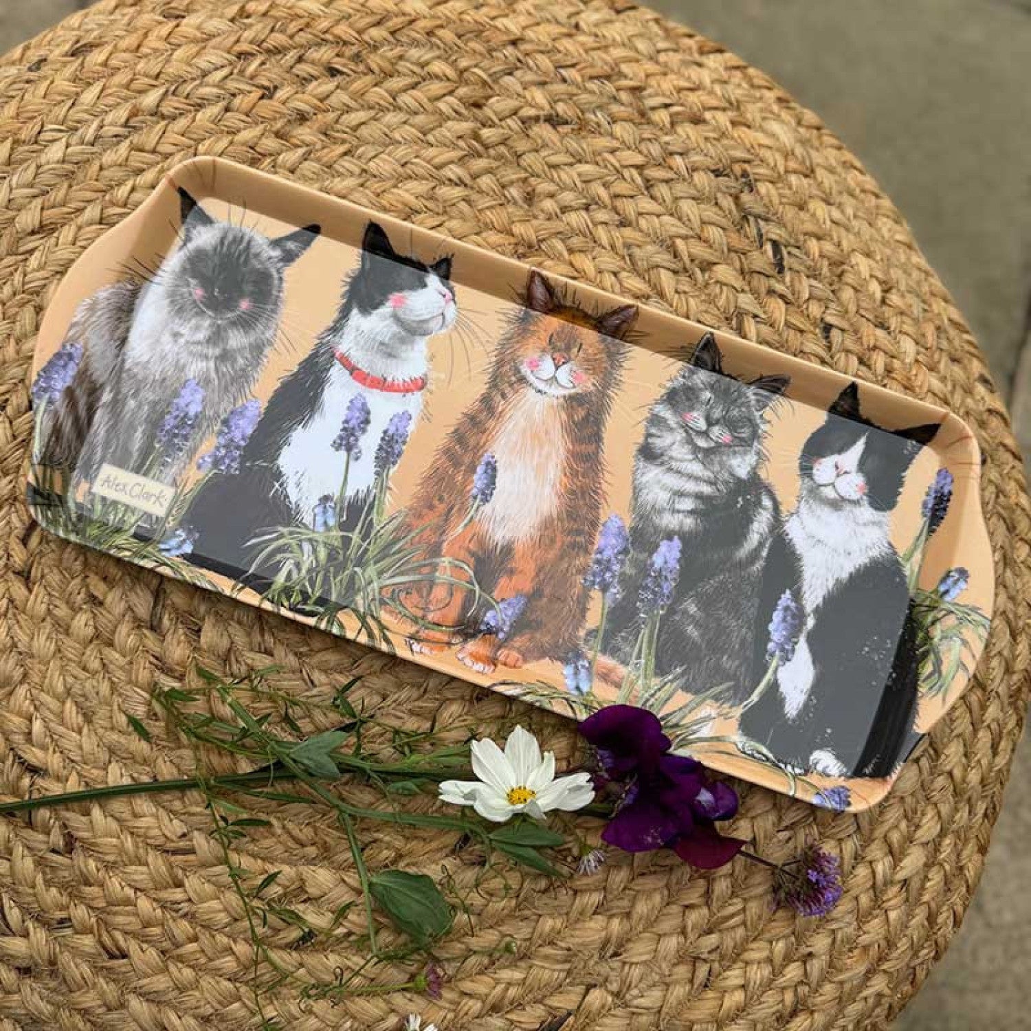 Medium Cats Tray