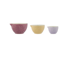 Load image into Gallery viewer, Mason Cash Meadow Measuring Cups S/3