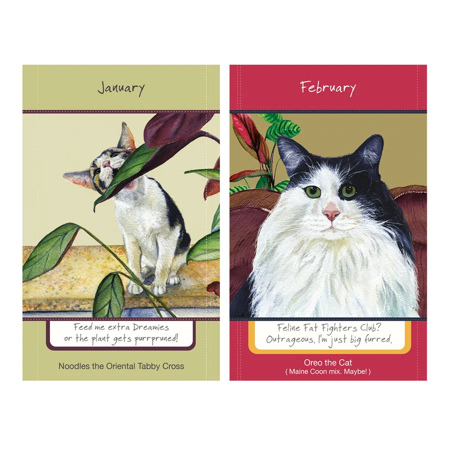 Magnificant Moggies 2027 Calendar