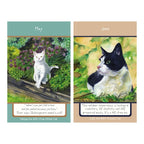 Magnificant Moggies 2027 Calendar