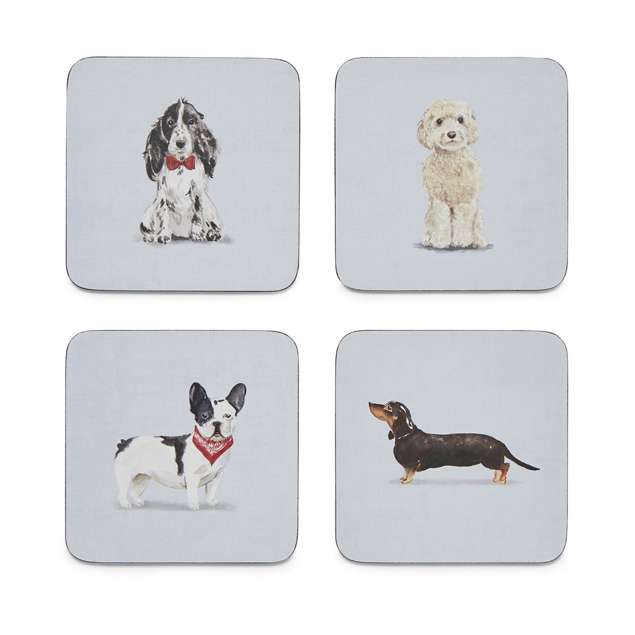 Curious Dogs Coasters