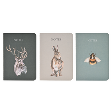 Load image into Gallery viewer, Meg Hawkins Set of 3 Notebooks