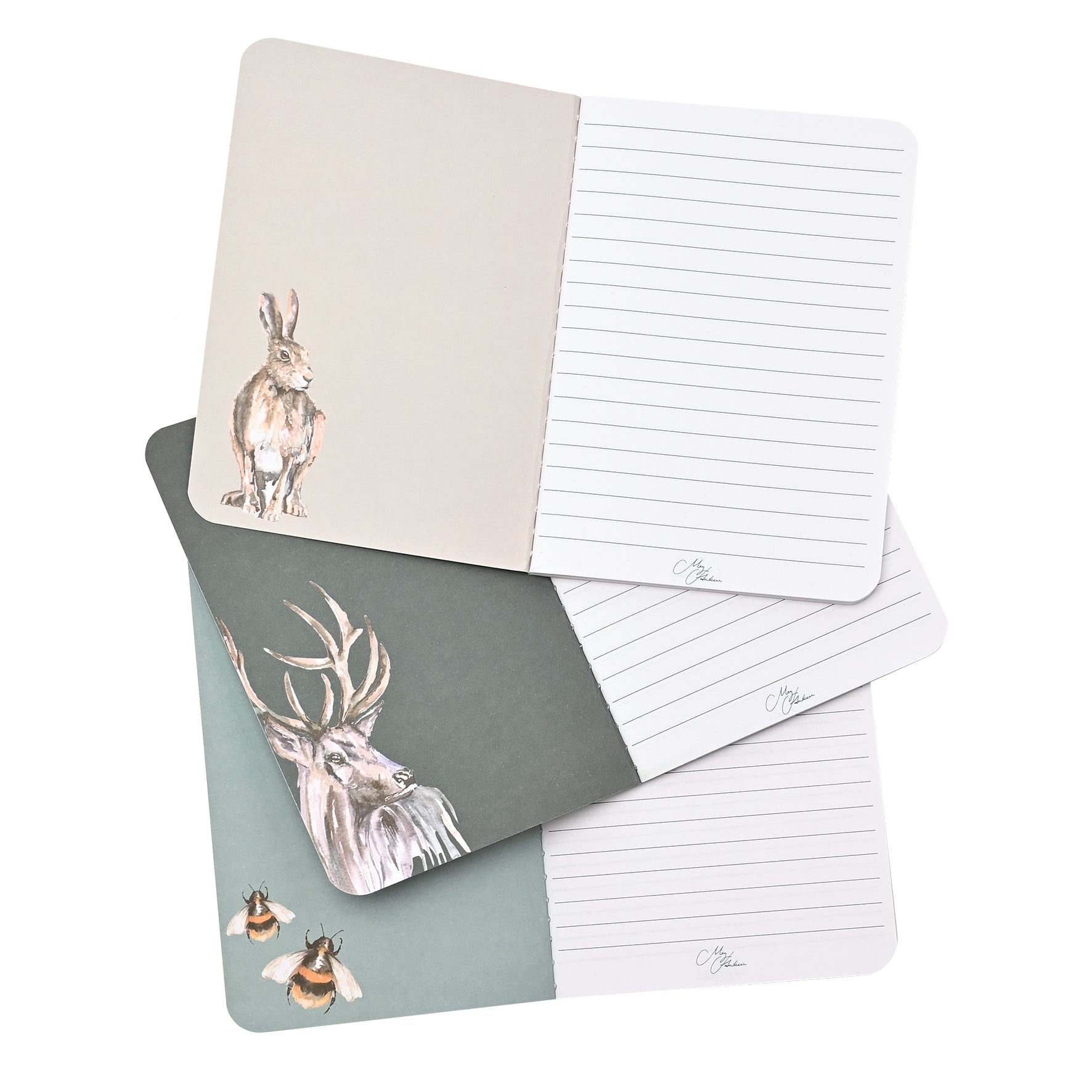 Meg Hawkins Set of 3 Notebooks
