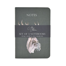 Load image into Gallery viewer, Meg Hawkins Set of 3 Notebooks