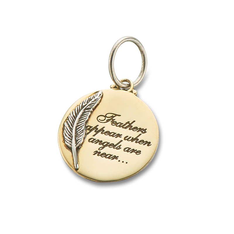 Feathers Appear Charm Sterling Silver & Brass