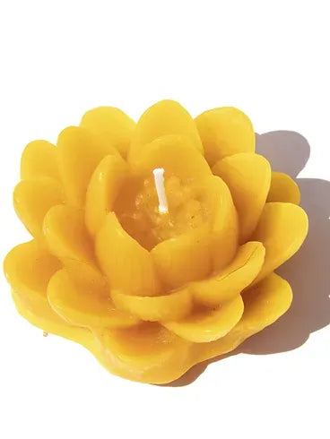 Open Lotus Yellow Candle