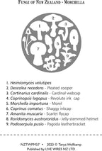 NZ Fungi Morchella Placemat