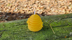 Small Hive Yellow Candle