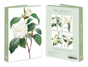 White Blossoms Notecards Packet of 12